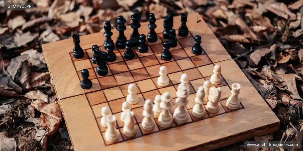 🎯专业装备,点燃你的运动激情!